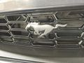 2025 Ford Mustang Dark Horse Fastback