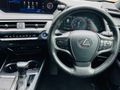 2022 Lexus UX 250h SE