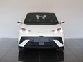 2026 BYD Dolphin Surf Dynamic