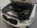 2024 BMW X4 xDrive20d M Sport X