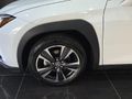 2026 Lexus UX 300h EX