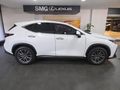 2025 Lexus NX 350h EX