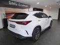 2025 Lexus NX 350h EX