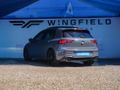 2024 Volkswagen Golf 8 GTI  2.0 TSI Auto