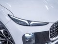2026 Lepas L6 Pantera 1.5T DCT
