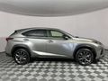 2019 Lexus NX 300 F-Sport