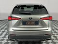2019 Lexus NX 300 F-Sport