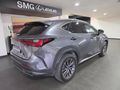 2024 Lexus NX 350h EX