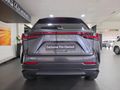 2024 Lexus NX 350h EX