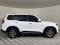 2025 Mahindra Scorpio N 2.2D Auto Z8