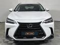 2023 Lexus NX 250 EX