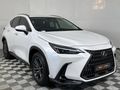 2023 Lexus NX 250 EX