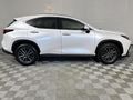 2023 Lexus NX 250 EX