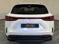 2023 Lexus NX 250 EX