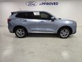 2026 Ford Territory 1.8T Ambiente