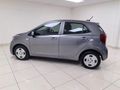 2023 Kia Picanto 1.0 Street Auto
