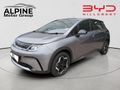 2026 BYD Dolphin Standard Range - Auto