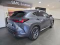2025 Lexus NX 350h EX