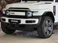 2026 iCAUR V23 Electric AWD