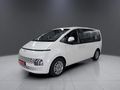 2024 Hyundai Staria 2.2d Executive Auto