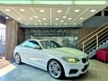 2016 BMW 2 Series 220i Coupe M Sport Auto