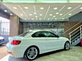 2016 BMW 2 Series 220i Coupe M Sport Auto