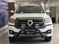 2025 GWM P-Series P300 2.4TD LT Double Cab Auto