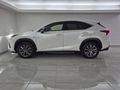 2020 Lexus NX 300 F-Sport