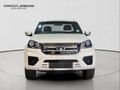 2026 GWM Steed 5 2.0 S Single-Cab