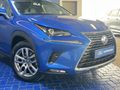 2019 Lexus NX 300 EX