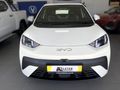 2026 BYD Dolphin Surf Dynamic