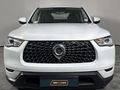 2024 GWM P-Series CV 2.0 TD SX 4x4 Double-Cab