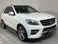 2013 Mercedes-Benz ML 350 Bluetec