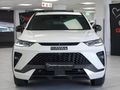 2024 Haval H6 GT 2.0T Super Luxury 4X4 Auto