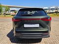 2024 Lexus NX 250 EX