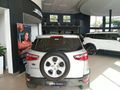 2020 Ford EcoSport 1.5 TiVCT Ambiente Auto