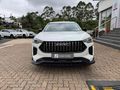 2025 Haval Jolion Pro 1.5T Super Luxury DCT
