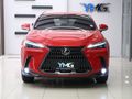 2024 Lexus NX 250 EX