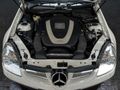 2008 Mercedes-Benz SLK 350 Auto