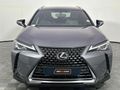 2019 Lexus UX 200 EX