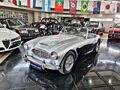 1958 Austin-Healey 100/6 Roadster