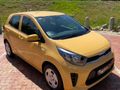 2023 Kia Picanto 1.0 Street Auto