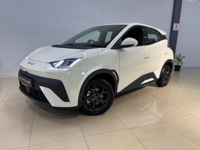 2026 BYD Dolphin Surf Comfort