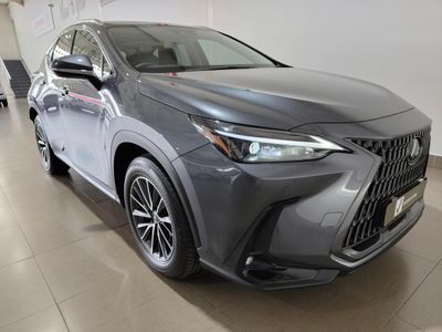 2024 Lexus NX 250 EX