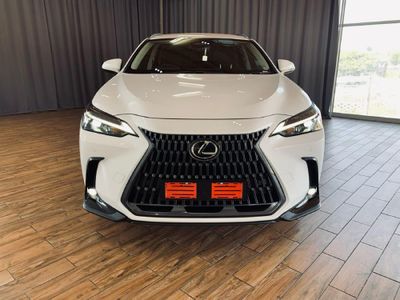 2025 Lexus NX 350h EX