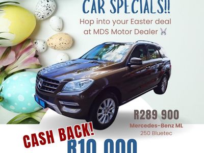 2013 Mercedes-Benz ML 250 Bluetec