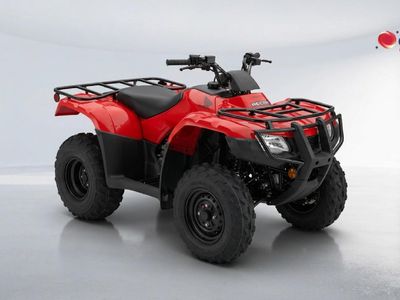 2026 Honda Trx 250 Tm