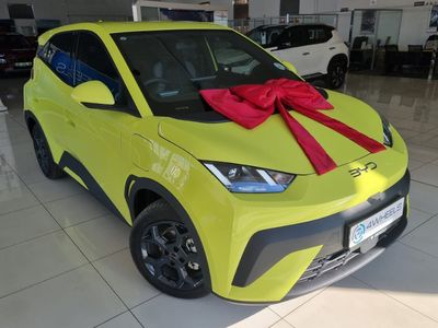 2026 BYD Dolphin Surf Dynamic