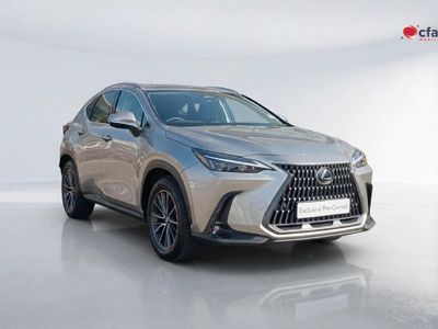 2025 Lexus NX 350h EX