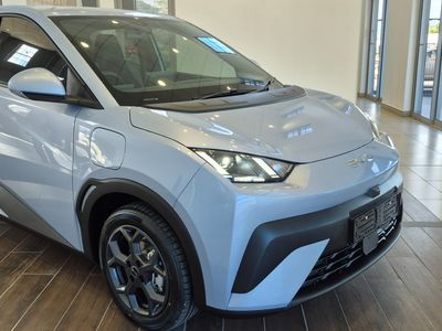 2026 BYD Dolphin Surf Dynamic